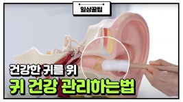 일상생활과 밀접한 귀 건강 지키는 꿀 TIP! | ZUM TV