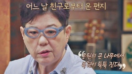 암 투병 시절, 양희은의 ＜하얀 목련＞ 작사에 영감을 준 친구의 편지️ | JTBC 210416 방송