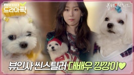 강아지계의 한세계🐶 뷰인사 최고 씬스틸러 대배우 낑깡이💛｜뷰티 인사이드｜JTBC 181120 방송 외 | ZUM TV