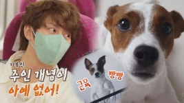 희철이도 감당 못함🤦🏻♂️ 시람이면 다 좋아하는 핵인싸 기복이🐶 | JTBC 210826 방송 | ZUM TV 희철이도 감당 못함🤦... 