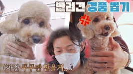 승부욕 발동🔥 세상 진지하게 임하는 푸푸의 경품 뽑기 | JTBC 210826 방송 | ZUM TV