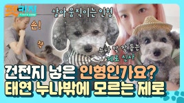 [제로 스페셜] 셀럽 제로는 태연 누나 빼고는 싫개! 태연누나 ㅂr보 제로 신사❤️ | JTBC 210826 방송 | ZUM TV