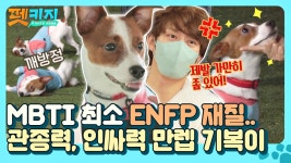 [기복이 스페셜] 주인도 못말린다더라💦 4개의 심장을 가진(?) 김희철 반려견 기복이 저세상 텐션↗↗ | JTBC 210826 방송 | ZUM TV