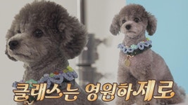 태연하게 모델 포즈를 선보이는 제로의 단독 촬영📷 | JTBC 210902 방송 | ZUM TV