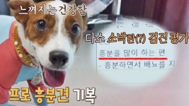 느껴지는 기복이 기운💪에 비해 소박한 검진 평가🤣 | JTBC 210909 방송 | ZUM TV