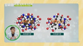 피부 미인의 단골 비결👸 어류 콜라겐이란? | JTBC 210916 방송 | ZUM TV