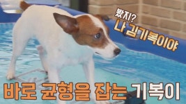 이 정도쯤이야~😙 물 위에서 여유 있게 🌊서핑 즐기는 기복이 | JTBC 210916 방송 | ZUM TV