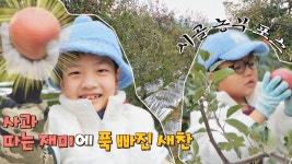 사과 따기에 신난 새빛-새찬과 짬이 다른 밀양 농부 하민이🍎 | JTBC 211215 방송 | ZUM TV