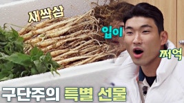 센스 만점bb 새싹 구단 어쩌다벤져스를 위한 구단주의 새싹삼 선물🌱 | JTBC 220102 방송 | ZUM TV