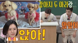 잔뜩 화난 이상화 ＂앉아!＂ 조용히 앉은 강남과... 강아지 두 마리?! ㅋㅋ | JTBC 220423 방송 | ZUM TV 잔뜩 화난 이상화 ＂앉아!... 