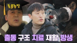 야생 동물계의 🚨119 이자 응급실🚨 「충남야생동물구조센터」 | JTBC 230221 방송 | ZUM TV