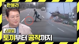 [스페셜] 여기가 도로야 동물원이야? 운전자를 위협하는 신출귀몰 동물들🐰🦚 | JTBC 230525 방송 | ZUM TV