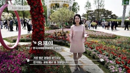 K-플라워🌺의 면모를 보여주는 「고양시 꽃박람회」 | JTBC 230605 방송 | ZUM TV