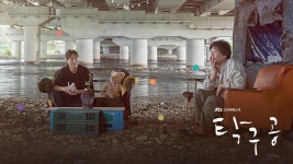 탁구공 | ZUM TV