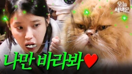혼밥인데 혼밥이 아닌.. | 효리네 민박 | JTBC 170709 방송 | ZUM TV