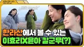 [📁효리네 민박 2 15화.zip] 한라산에서 대통합되는 아이돌 1-2세대✨ 이효리X윤아가 말아주는 소원을 말해봐 공연(?)｜효리네 민박... 