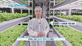 강남 한복판에 농장이 있다?! 토양 없이 이루어진 스마트팜🥦 | JTBC 241201 방송 | ZUM TV
