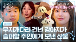 [스페셜] ＂충분히 행복했으니까..＂ 천국에 온 강아지가 주인에게 새로운 친구를 소개한 이유😭 | JTBC 250427 방송 | ZUM TV