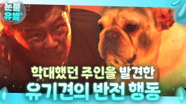 벌 받는 주인을 구하기 위해 불 구덩이 뛰어든 의리파 강아지😭｜천국보다 아름다운｜JTBC 250504 방송 외 | ZUM TV