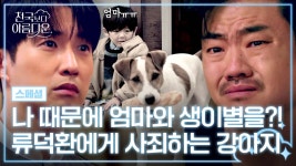 [스페셜] 굶주렸을 뿐인데💧 김혜자와 생이별한 류덕환에게 죄책감을 느낀 강아지의 사과 | JTBC 250524 방송 | ZUM TV
