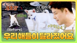 이게 되네..?😲 금쪽이 무둥이들을 바로 배변 성공할 수 있게 만든 훈련법?! | JTBC 250615 방송 | ZUM TV
