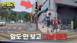 예측 불가😰 빨간불에 차도로 날아든 어린이 보행자?!💦 | JTBC 250827 방송 | ZUM TV