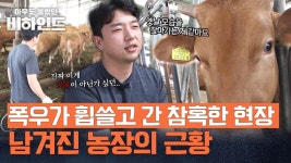 250마리 중 60여 마리 폐사... 폭우가 휩쓸고 간 농장의 근황 | JTBC 250923 방송 | ZUM TV