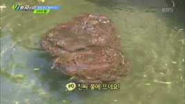 물에 뜨는 신비의 돌! 40kg의 제주도 화산 암석 ‘송이돌’! | ZUM TV