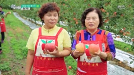 가을을 부르는 빨간 맛! 홍로! 경남 거창 | ZUM TV