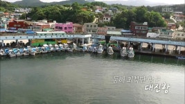 동해 최북단 항구 ‘대진항’그 곳에는 어떤 사연이 기다리고 있을까 | ZUM TV
