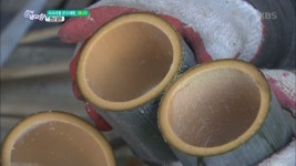 사시사철 운수대통, 대나무 - 전남 담양. | ZUM TV