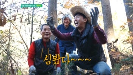 심봤다! 솔방마을의 보물, 산양삼 - 경남 밀양 | ZUM TV