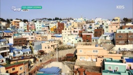 부산의 감성동네! 감천문화마을 - 부산광역시 | ZUM TV