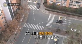 법적 보호를 받지 못하는 아파트 내 횡단보도 | ZUM TV