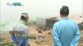 흑염소 목장 형제 2부 - 전남 강진 1 | ZUM TV