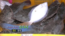 경남 통영, 두미도 봄 손님 ´도다리´ | ZUM TV