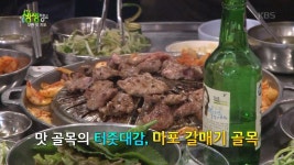 대동 맛 지도, 마포 갈매기 골목 | ZUM TV