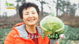 [자연 애(愛) 일기] 두 번째 고향 제주도의 풍년. | ZUM TV