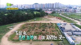농부를 키운다? 도시농부학교 | ZUM TV