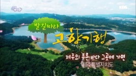 [발길따라 고향기행] 제주의 푸른 바다 그곳에 가면 | ZUM TV