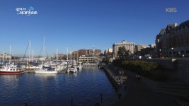 북미 대륙 태평양 연안의 가장 큰 섬 밴쿠버 아일랜드 | ZUM TV