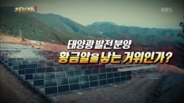 태양광 발전 분양 황금알을 낳는 거위인가? | ZUM TV