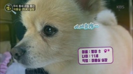 [우리 동네 리얼 통신] 미용실 견(犬)실장?! | ZUM TV