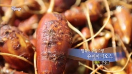 행복이 주렁주렁 ☆슈퍼아피오스☆ - 전북 무주 | ZUM TV