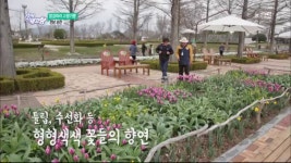 [발길따라 고향기행] 꽃 피는 3월, 그곳에 가면 - 전남 순천 | ZUM TV
