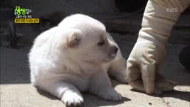 봄만 되면 시 쓰는 남자