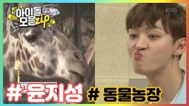 [워너원&슈돌] 윤이모 윤지성의 동물농장 개인기 [아이돌모음ZIP] | ZUM TV