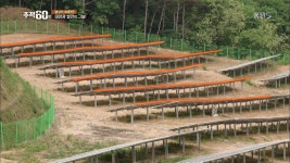 연금 발전소, 환상의 재테크 등으로 불리는 태양광 발전 사업의 문제점 | ZUM TV