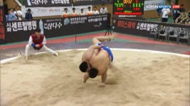 [제33회 전국시·도대항장사씨름대회] 강병석(구례중학교) VS 김영재(동광양중학교) | ZUM TV