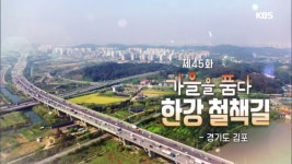 가을을 품다 한강 철책길, 경기도 김포 | ZUM TV